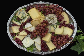 Cheese platter decorated with red grapes and currants on a silver platter