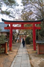 Japanese runs between Torii gates