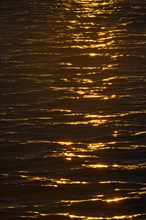 Evening light on the sea