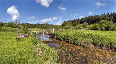 Bridge over the Morsbach stream with green meadows