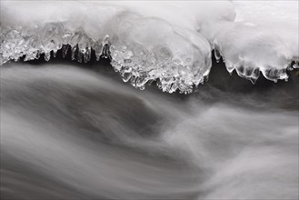 Ice formations on a rock in the Selke River