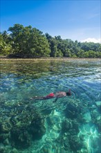 Man snorkeling in the clear waters