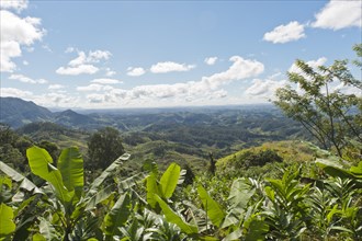 Vast mountainous landscape with banana trees at front