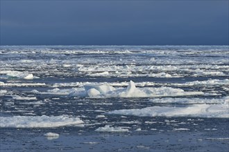Ice floes