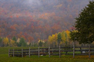 Landscape with fence on foggy morning in late autumn