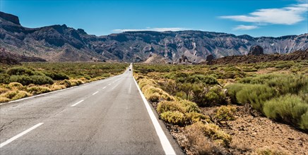 Road through volcanic landscape