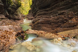 Course of the Taugl stream