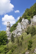 Spitzer Stein natural monument