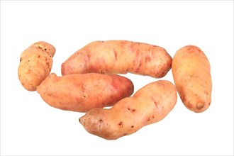Potatoes