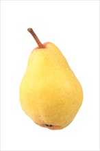 Williams pear