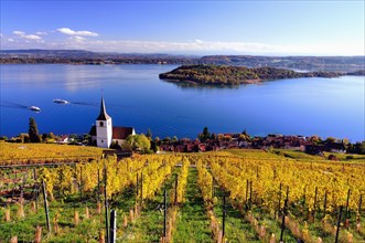 Lake Biel and vineyards in autumn
