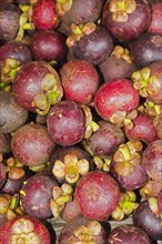 Purple Mangosteens (Garcinia mangostana) for sale on a market
