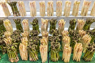 Asparagus