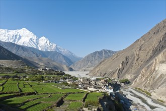 Settlement on the Kali Gandaki River