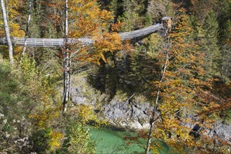 Rope bridge or plant bridge to Wasserlochklamm Gorge