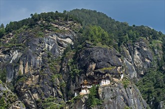 Rock face with the Taktsang Palphug Monastery or Tiger's Nest