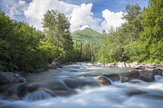 Stream in the Talkeetna Mountains