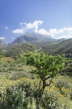 Valley of Megalopotamos