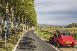 Country road with plane trees and a red Citroen 2CV