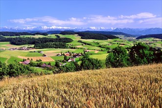 View of the Emmental