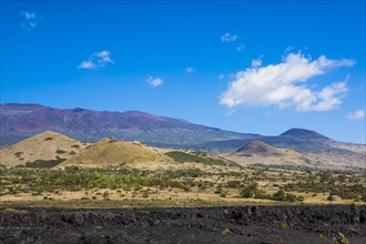 Volcanic landscape near Waikoloa