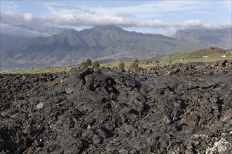 Natural monument of Tubo de Volcanico Todoque near Las Mancha