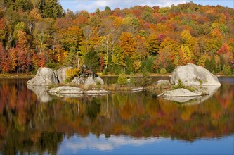 Forest and large rocks being reflected in beaver pond in autumn