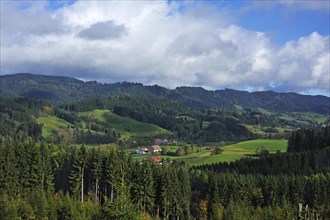 Forested mountain landscape with views of Spitalhof