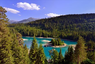 Caumasee lake surrounded by forest