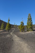 Trail to the Samara volcano