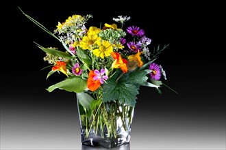Colourful bouquet of wild flowers in a glass vase