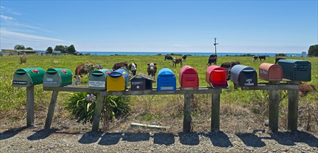 Several mailboxes at a cow pasture