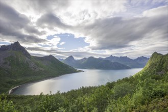 Traelvika Fjord