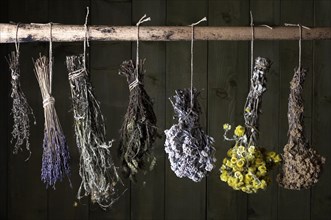 Various herbal bouquets