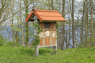 Insect hotel