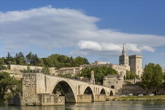 The historic bridge of Avignon with the papal palace in the background