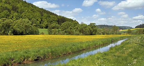 The Anlauter river in Anlautertal valley with flower meadows