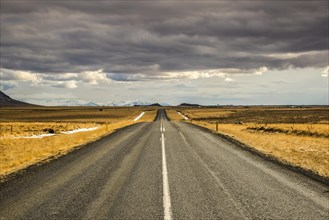 Deserted country road