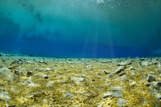 Underwater view