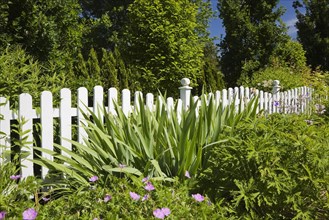 White wooden picket fence in front of a flower bed in a landscaped residential front yard garden