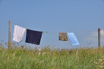 Laundry hanging to dry on a washing line