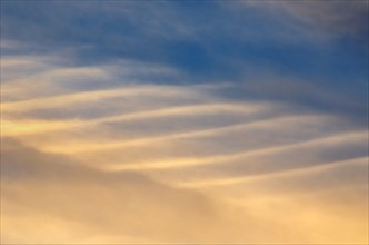 Altostratus clouds with a ribbed pattern in the evening sky