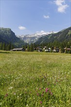 Nenzinger Himmel alpine meadow