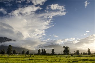 Pasture against the Southern Alps