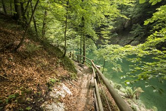 Hiking trail in Mendlingtal valley