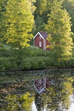 Red and white house on a lake between birch trees