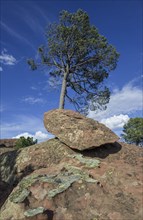 Rock formations in the Pinares de Rodeno Nature Reserve