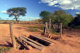 Primitive bridge of an earth road