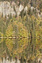 Lake Feldsee and Feldberg mountain