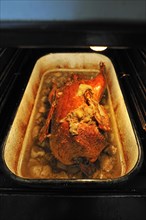 Cooked roast duck with apples